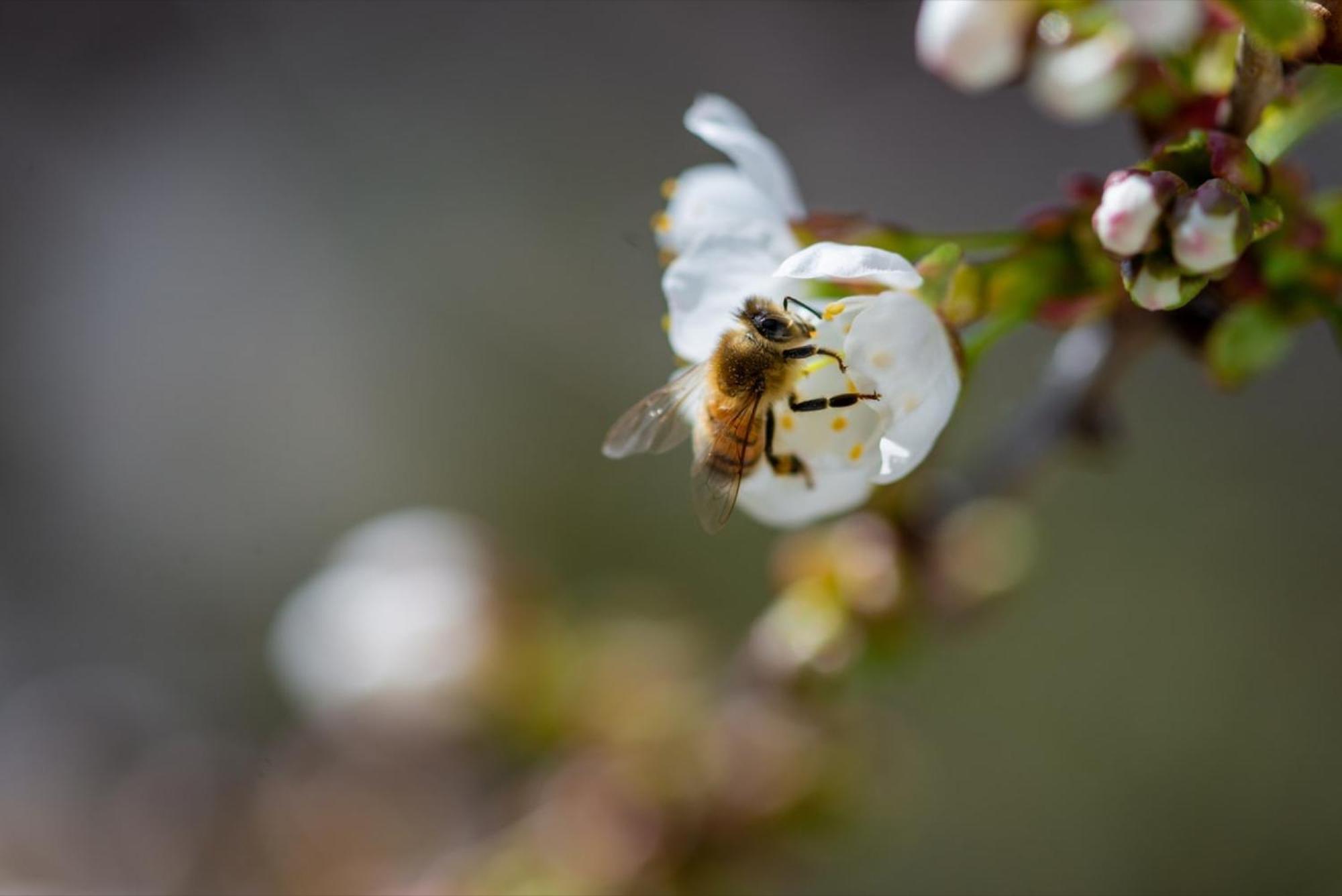 Apartmán Albnest Mössingen Exteriér fotografie